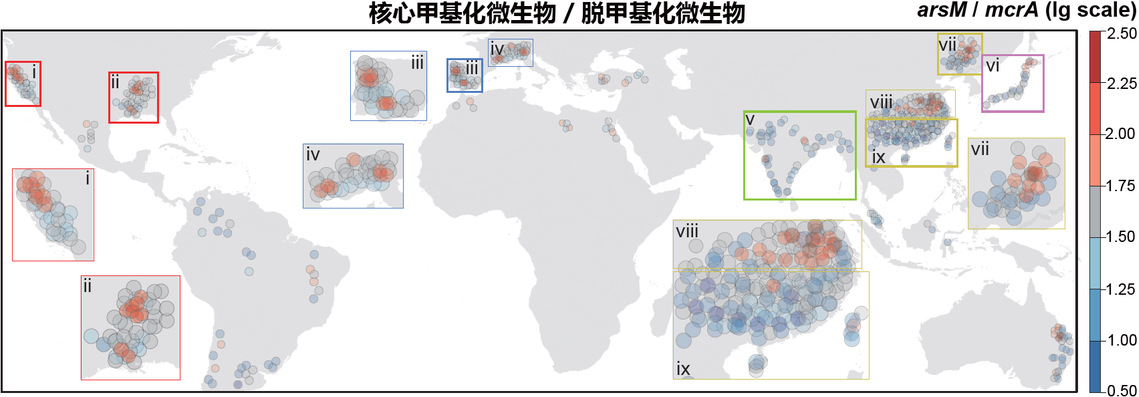 图2. 11种关键砷甲基化与6种脱甲基功能微生物丰度比值可预测全球稻田直穗病发病风险。 图2. 11种关键砷甲基化与6种脱甲基功能微生物丰度比值可预测全球稻田直穗病发病风险。