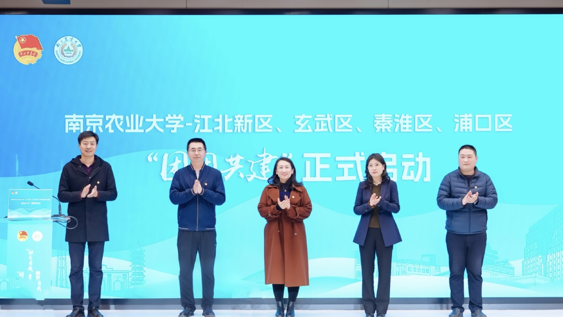 “团团共建”启动仪式